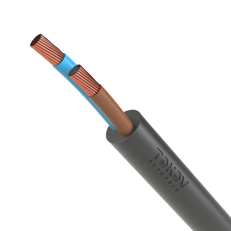 Провод TOKOV ELECTRIC ПВС 2х2.5 380В Ч (м) 1945483