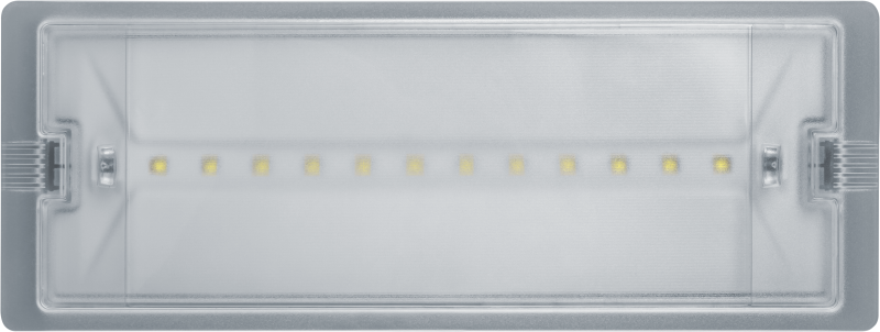 Светильник светодиодный 95 290 NEF-19 6Вт IP65 100лм 220-240В аккум. LiFePO4 600mAh аварийно-эвакуационный Navigator 95290