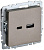 Розетка BRITE USB A+C 18Вт РЮ11-1-БрШ шампань IEK BR-U22-018-K37