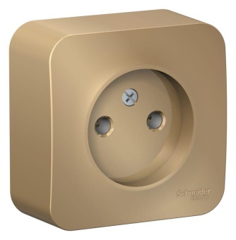 Розетка 1-м ОП Blanca 16А IP20 250В без заземл. без защ. шторок титан SE BLNRA000104