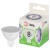 Лампа светодиодная GREEN LINE MR16-8W-865-GU5.3 GL 8Вт софит 6500К свет холод. GU5.3 Эра Б0067086