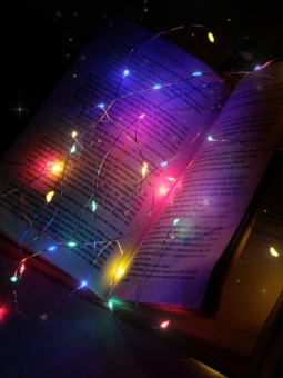 Гирлянда DC-G05-20MS2 20LED RGB 2xCR2032и(в компл.) (уп.2шт) ФАZА 5047990