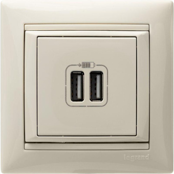 Розетка USB 2-м СП Valena сл. кость Leg 774170
