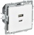 Розетка СП BRITE РЮ11-2-БрАБ USB A+C 45Вт высокоскор. заряд. арктич. бел. IEK BR-U22-045-K91