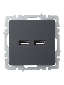 Розетка BRITE USB A+A 3.1А РЮ10-1-БрГ механизм графит IEK BR-U21-D31-K53