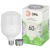 Лампа светодиодная GREEN LINE POWER T100-60W-865-E27/E40 GL 60Вт колокол 6500К свет холод. E27/E40 Эра Б0066980