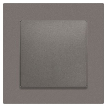 Выключатель 1-кл. СП Accent 6-101-09 10А IP20 250В AL/CU титан Intro Б0063440