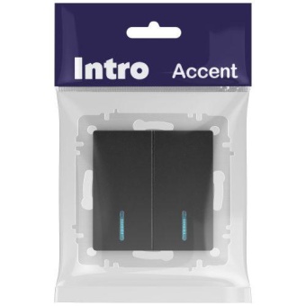 Выключатель 2-кл. СП Accent 6-105-05 10А IP20 250В с подсветкой AL/CU антрацит Intro Б0063516