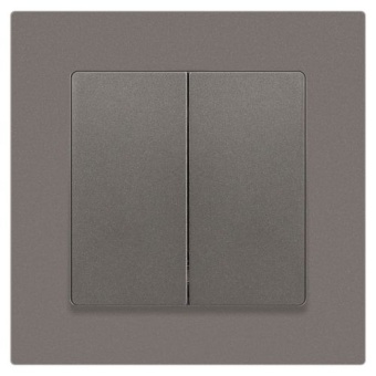 Выключатель 2-кл. СП Accent 6-104-09 10А IP20 250В AL/CU титан Intro Б0063499