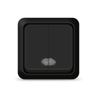 Выключатель 2-кл. ОП Олимп 10А IP20 с подсветкой черн. Universal 2214