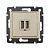 Розетка USB 2-м СП Valena сл. кость Leg 774170