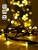 Гирлянда "Нить" DC-LD120-GL-E 120LED шампань 12м IP44 SHLights 4690601042873 Гирлянда "Нить" DC-LD120-GL-E 120LED шампань 12м IP44 SHLights 4690601042873