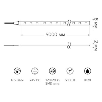 Лента светодиодная Black 2835/120-SMD 6.5Вт/м 5000К холод. бел. IP20 600лм/м 24В (блист.5м) GAUSS 312000265