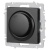 Светорегулятор поворотный СП Accent 6-401-05 600Вт 230В IP20 антрацит Intro Б0063679