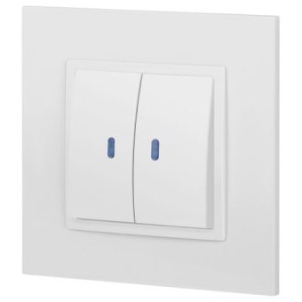 Выключатель 2-кл. Elegance 14-1105-01М 250В 10АХ с подсветкой матов. бел. Эра Б0065807