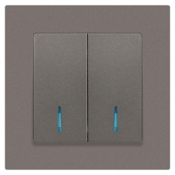 Выключатель 2-кл. СП Accent 6-105-09 10А IP20 250В с подсветкой AL/CU титан Intro Б0063525