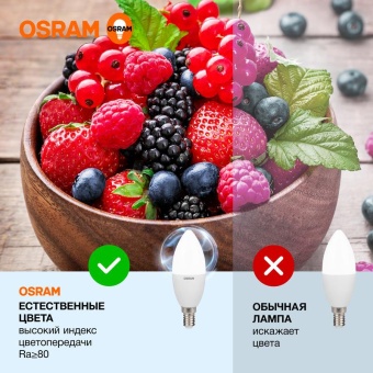 Лампа светодиодная LED G3 Value LVCLB75 10SW/865 10Вт свеча матовая 6500К холод. бел. E14 800лм 230В 10х1 RU OSRAM 4058075579262