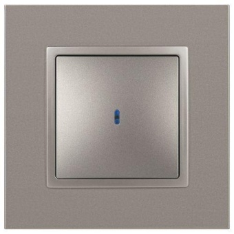 Выключатель Elegance 14-1102-16 250В 10АХ с подсветкой титан Эра Б0065785