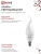 Лампа светодиодная LED-СВЕЧА НА ВЕТРУ-VC 14Вт 230В E14 6500К 1330лм IN HOME 4690612054384