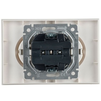 Розетка 2-м СП BRITE РС12-3-БрЖ 16А в сборе с заземл. без защ. шторок жемчуж. IEK BR-R21-16-K36-F