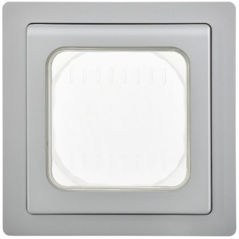 Рамка 1-м СП FLITE Рпро-1-55-ФлА IP55 алюм. IEK FI-M10-32-55-K47