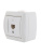 Розетка компьютерная 1-м ОП Nata RJ45 бел. LEZARD 710-0200-139 Розетка компьютерная 1-м ОП Nata RJ45 бел. LEZARD 710-0200-139