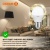 Лампа светодиодная LED Value P 12Вт 4000К нейтр. бел. E27 960лм P матов. пластик 220-240В (замена 100Вт) OSRAM 4099854309137 Лампа светодиодная LED Value P 12Вт 4000К нейтр. бел. E27 960лм P матов. пластик 220-240В (замена 100Вт) OSRAM 4099854309137