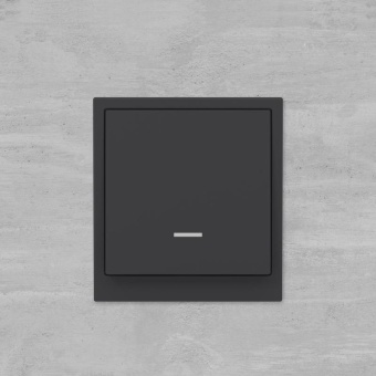 Выключатель 1-кл. KANT с подсветкой черн. уголь DKC 7012133